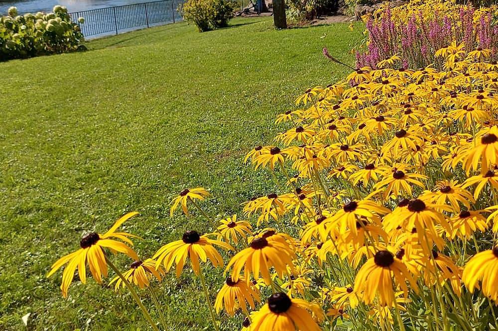 Ganze Wohnung, Neckaridylle mit Burgenblick in gehobener Fewo und überdachter Terrasse in Neckarsteinach, Bergstraße