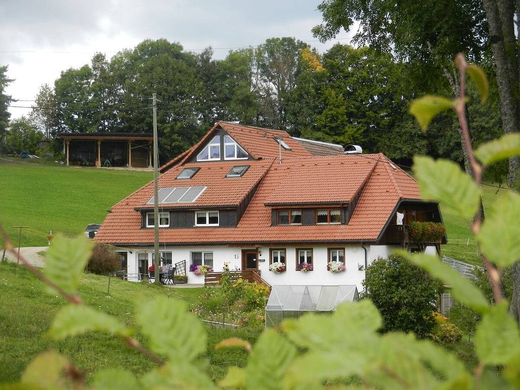 Büchele "Alpenblick in der Dachwohnung" in Dachsberg, Südschwarzwald