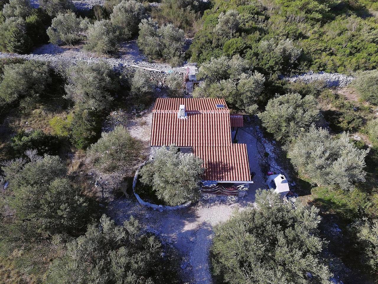 House Viola in Pasman