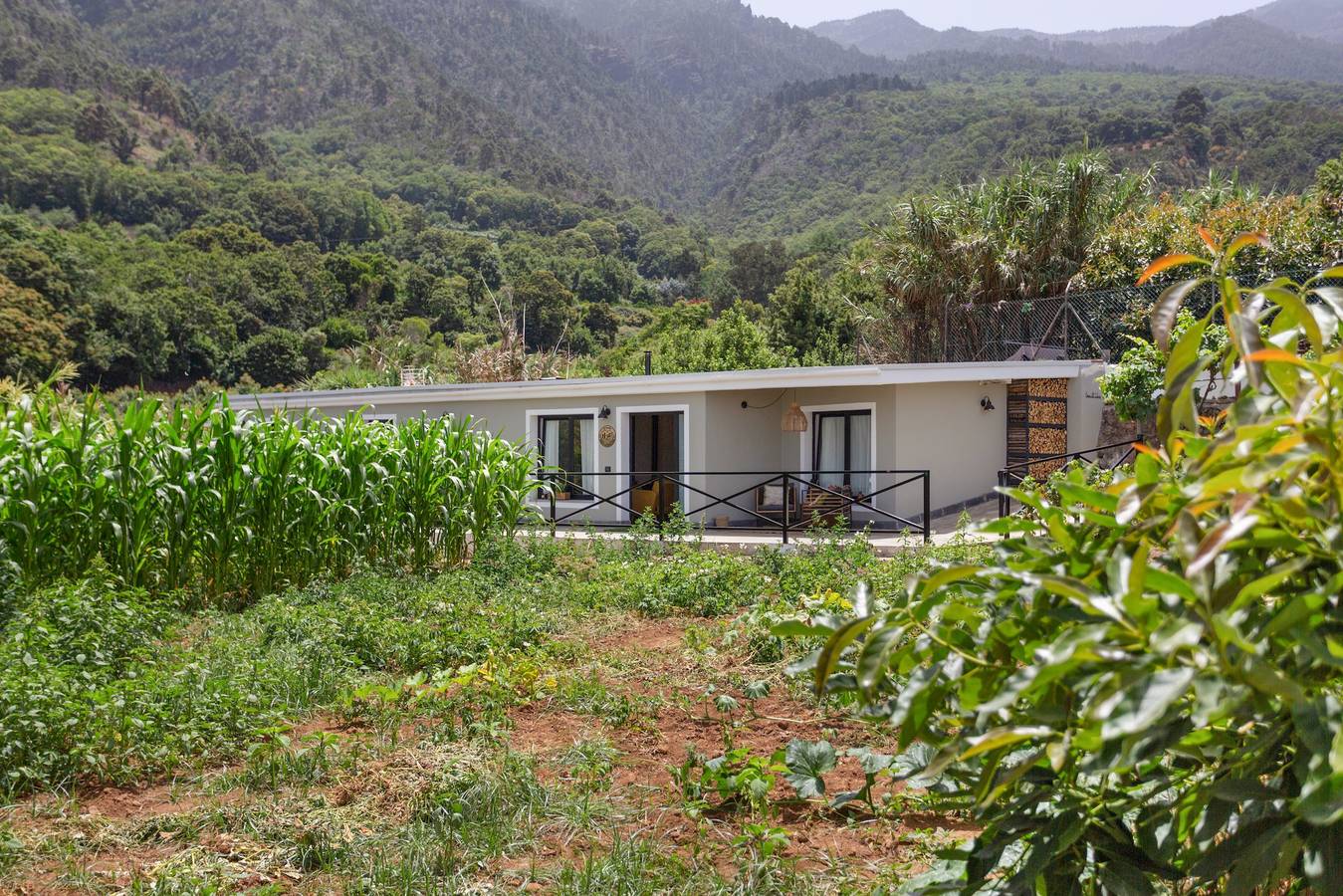 'El Llano' with Sea View, Private Pool and Wi-Fi in La Orotava, North Tenerife