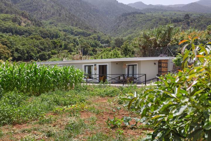 Gîte pour 3 personnes, avec Jardin à La Orotava - 3