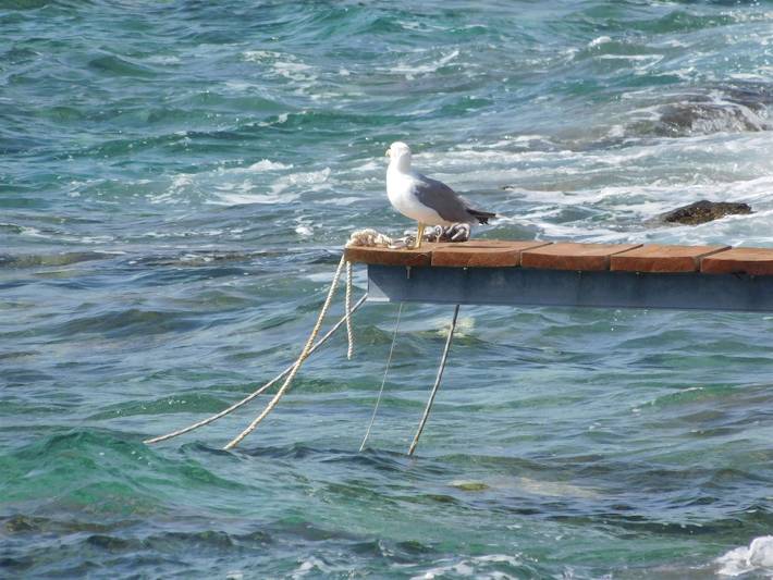 Ferieleilighet for 4 personer, med hage og terrasse i Vis Kroatia