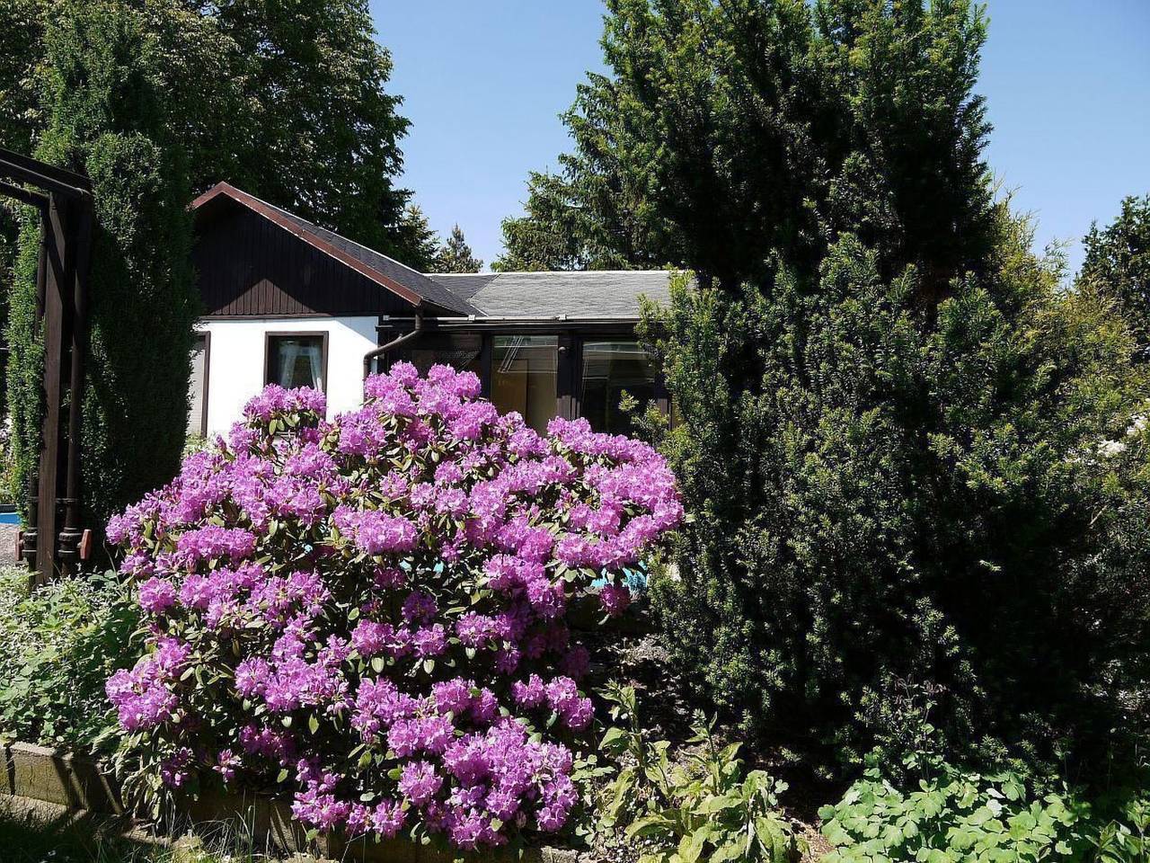 In Maxen mit Privatem Pool in Müglitztal, Osterzgebirge