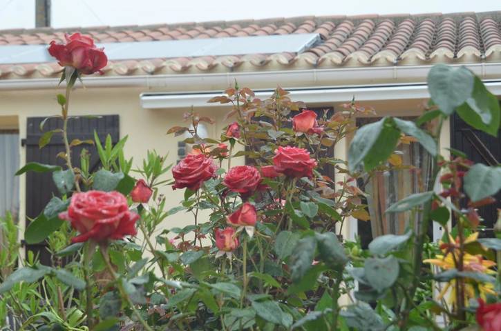 Location de vacances pour 3 personnes, avec terrasse et jardin à Vairé - 4