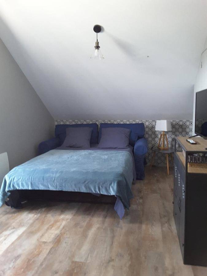 Large Double Room in Longué-Jumelles, Vallée de la Loire