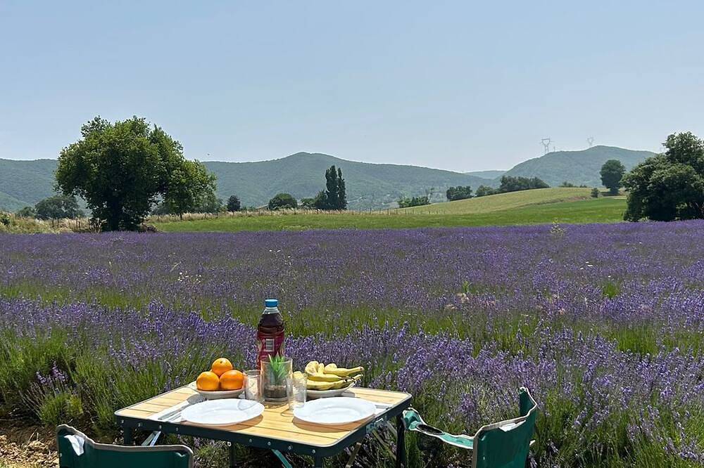 🚐 Van aménagé Trafic 3 Vasp – Prêt à partir à l’aventure ! 🌄 in Saint-Symphorien-sous-Chomérac, Privas (arrondissement)