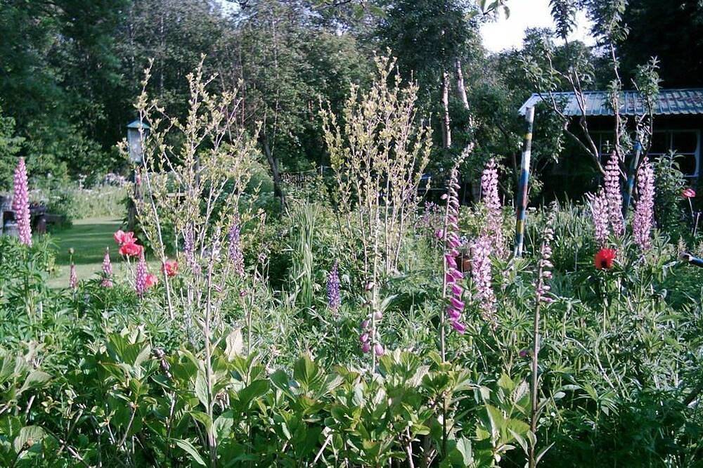 Garden Paradise - Luys Guesthouse in St. Peter-Bad, St. Peter-Ording