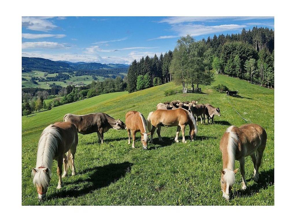 Ferienhaus in Weitnau mit Schwimmbecken in Weitnau, Bayerisch Schwaben