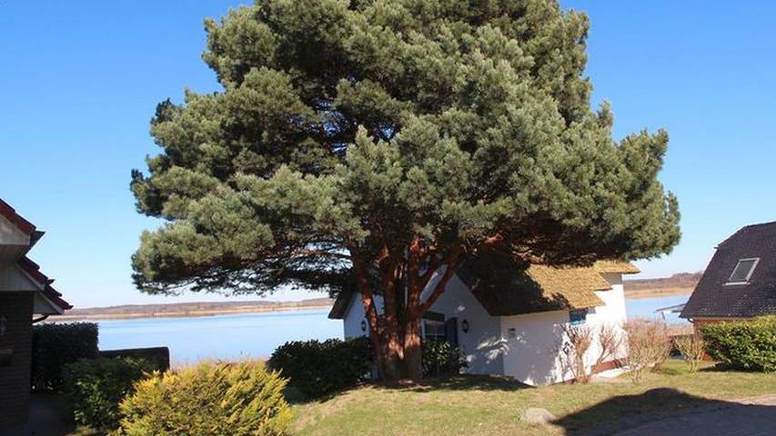 Ferienhaus für 4 Personen, mit Seeblick und Garten sowie Terrasse, mit Haustier in Sternberg