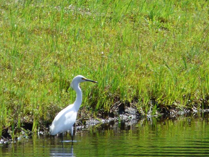 Vacation rental for 7 people, with balcony, with pets in Long Beach Island