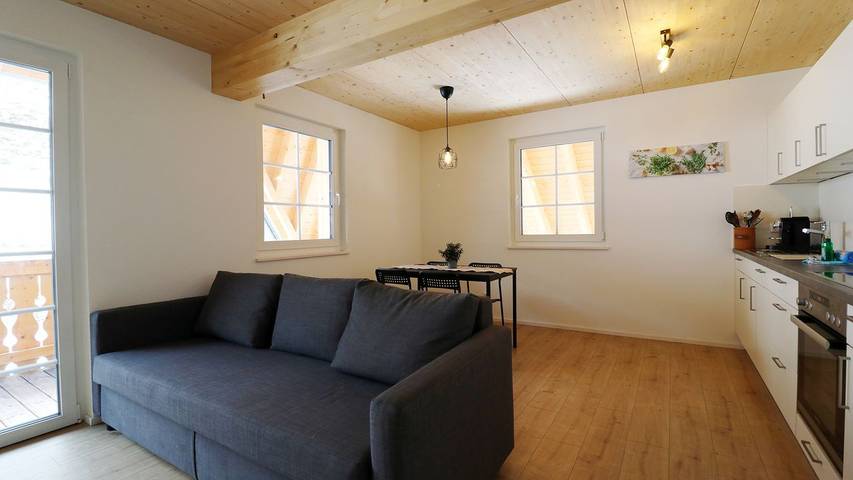 Ferienwohnung für 4 Personen, mit Balkon, mit Haustier in Menzenschwand