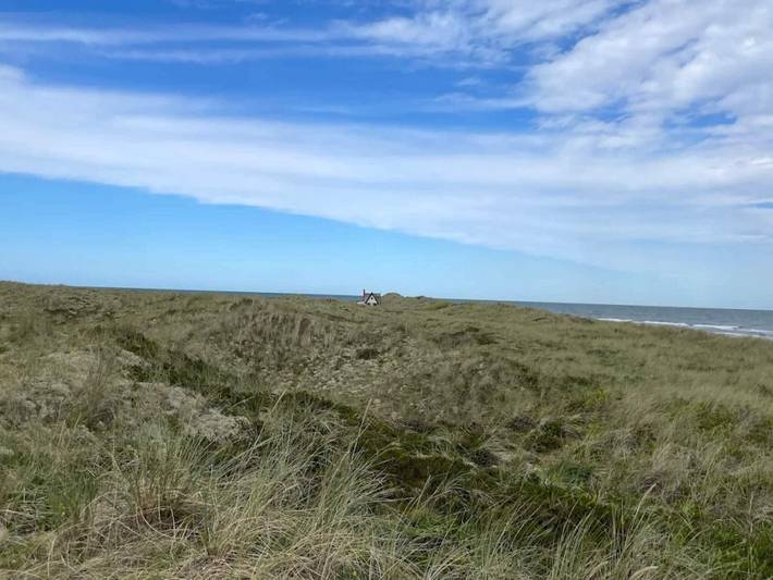 Ferienhaus für 6 Personen, mit Terrasse und Garten auf Læsø - 3