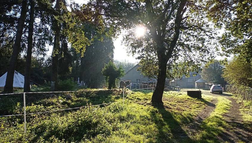 Location de vacances pour 6 personnes, avec Terrasse ainsi que Jardin et Piscine à Bréhan - 3