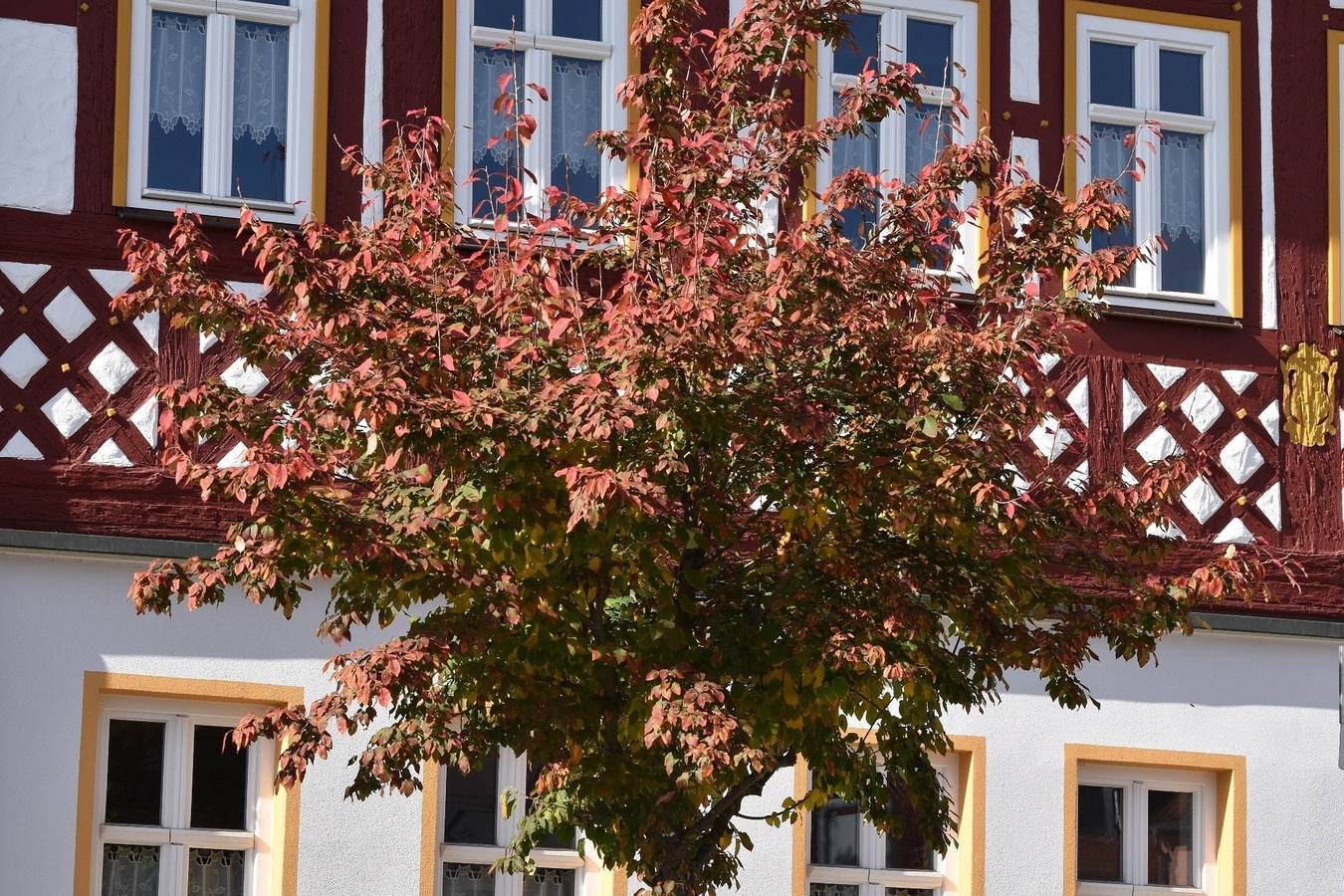 Ganze Ferienwohnung, Ferienwohnung Veste Coburg in Bad Rodach, Oberes Maintal - Coburger Land