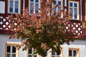 Ferienwohnung für 6 Personen in Bad Rodach