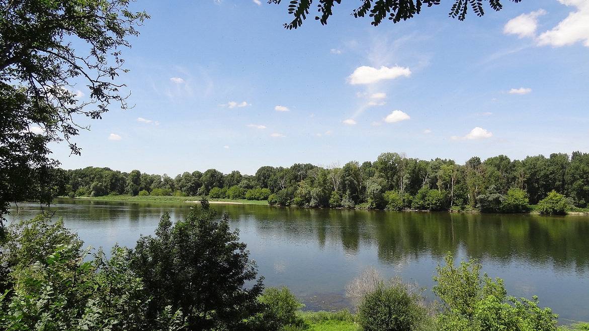 Gîte "le Trigan" in Saint-Laurent-Nouan, Sologne