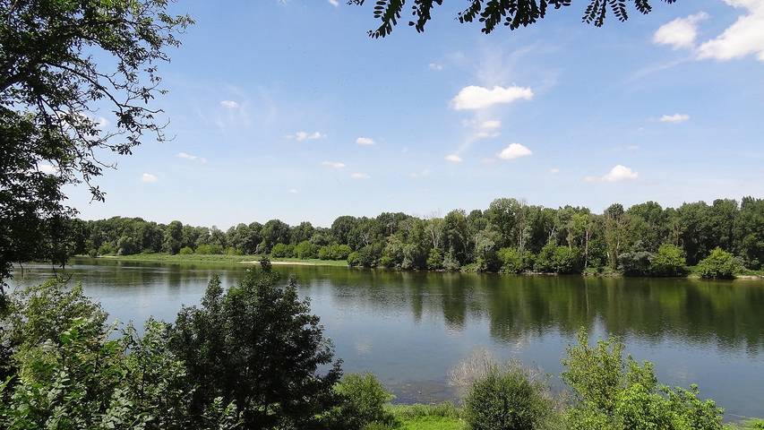 Gîte pour 7 personnes, avec balcon et jardin dans le Loir-et-Cher - 4