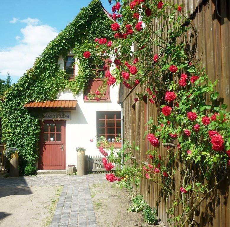 Ganze Ferienwohnung, Bernsteinstube Wolf in Hermannsburg, Naturpark Südheide