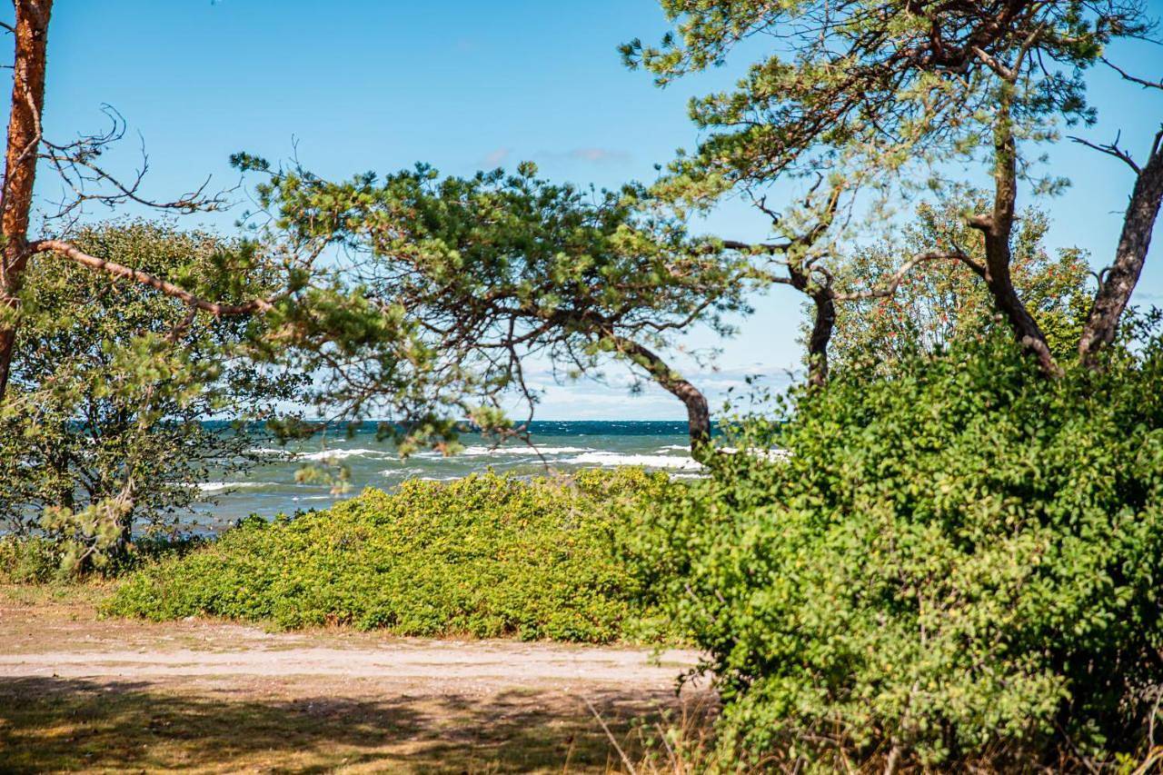 Lickershamns Semesterby in Gotland