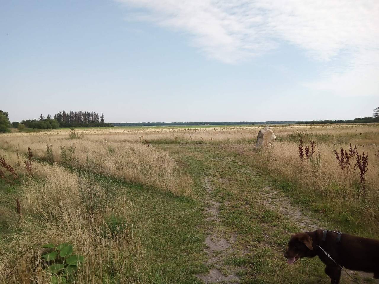8 Personen Ferienhaus in Storvorde in Egense, Limfjord in Nordjütland