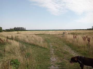 Ferieudlejning til 8 Personer i Egense, Himmerland, Billede 3