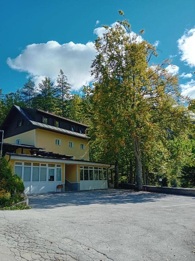 Maison d’hôte pour 31 personnes, avec terrasse et jardin à Kranjska Gora - 3