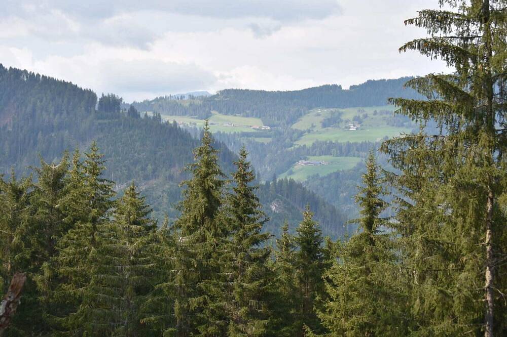 Ganze Wohnung, Ferienwohnung Haus Frank in Lechtaler Alpen, Nassereith