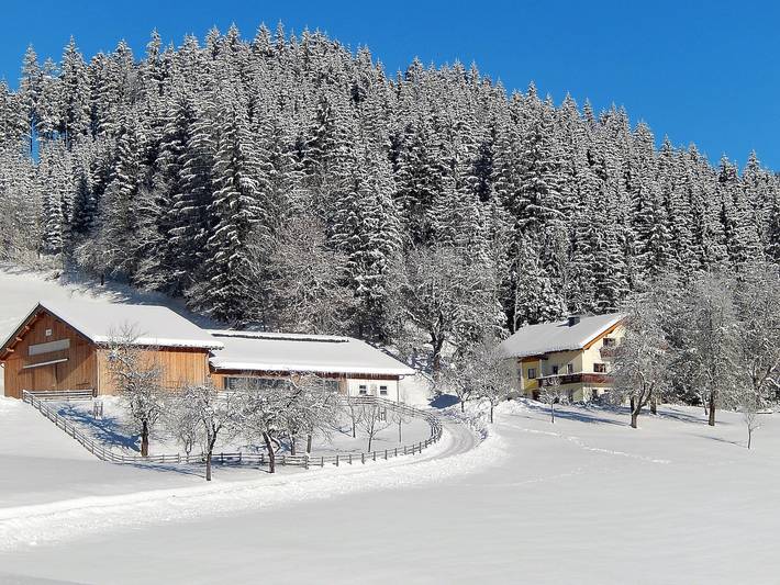 Ferienhaus für 5 Personen, mit Balkon/Terrasse und Balkon sowie Terrasse und Garten in Göstling an der Ybbs
