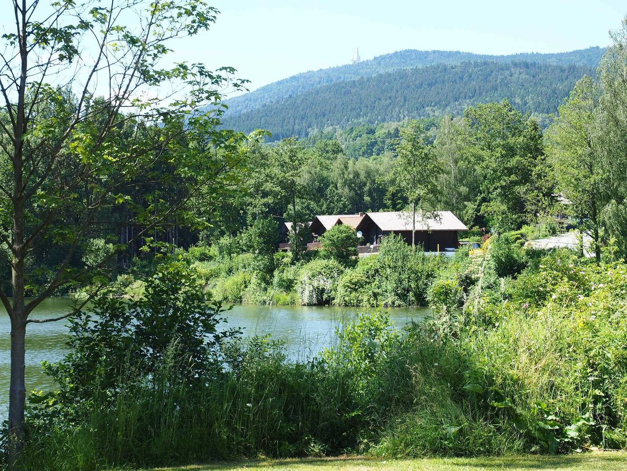 Ganze Ferienwohnung, Haus 89 Fewo Eg - Ferienwohnung mit Terrasse, Hund erlaubt und Parkplatz in Kummersdorf (Arrach), Arrach