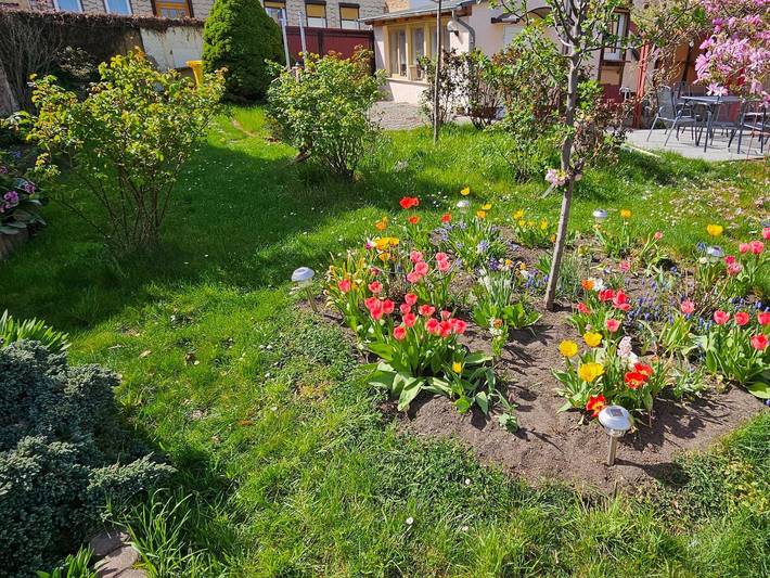 Ferienhaus für 6 Personen, mit Garten und Terrasse, kinderfreundlich in Blankenburg - 3