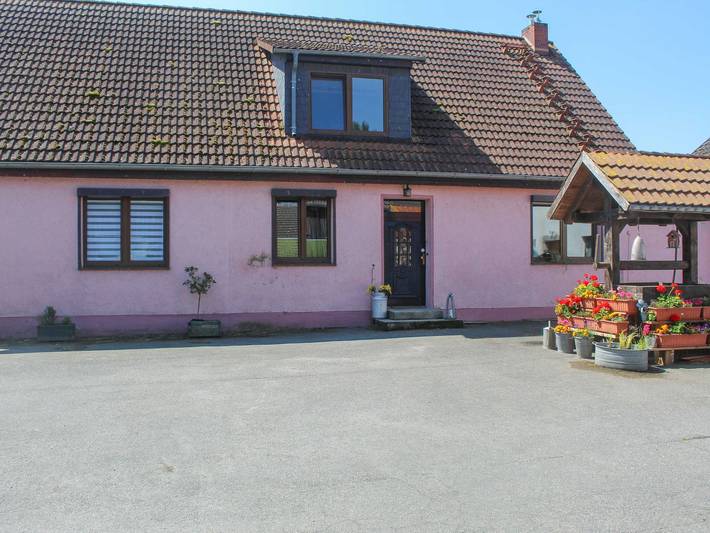 Ferienwohnung Alpaka-Idylle - Ferienwohnung in Rubkow, Vorpommern Greifswald
