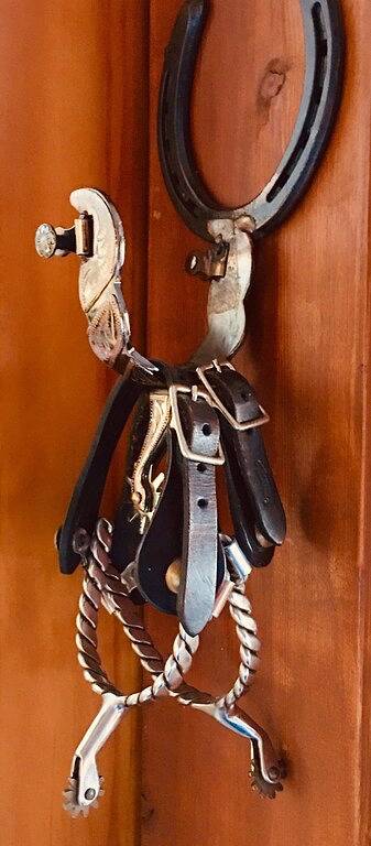 Ganze Wohnung, First Class Ski-in Condo- $ 100- $ 175 Nacht (2-4 Nächte min) in Steamboat Springs, Medicine Bow-Routt Nationalwald