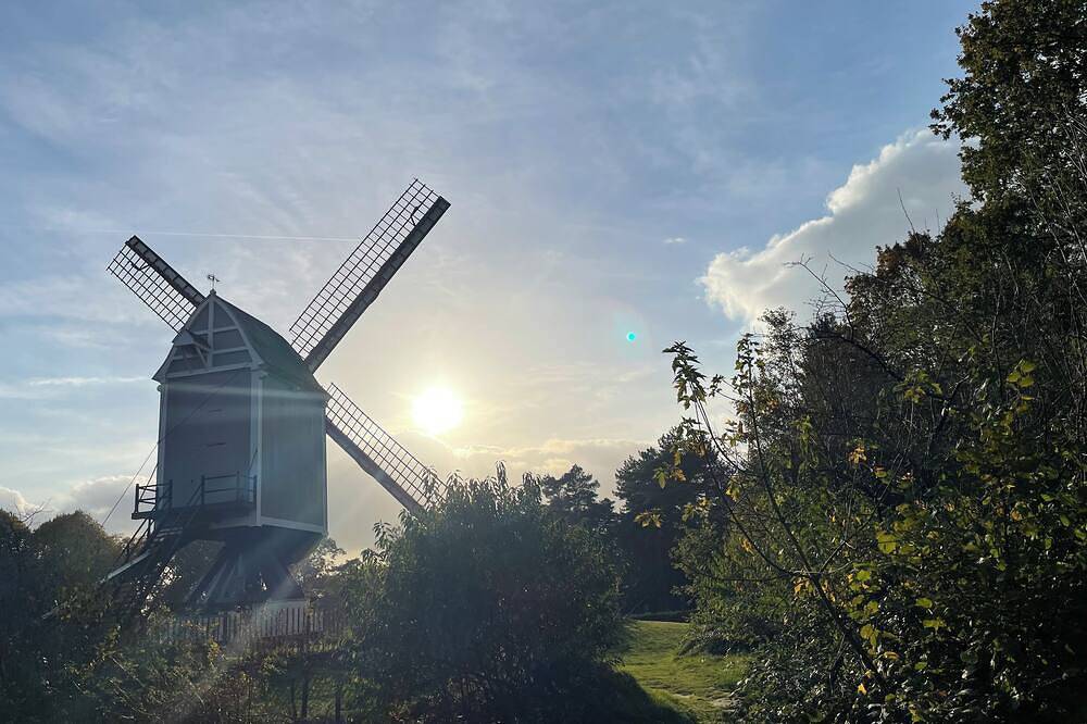 Family-friendly and cozy guesthouse on the edge of the forest. in Kasterlee, Antwerpen und Umgebung