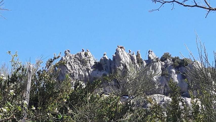 Maison d’hôte pour 3 personnes, avec terrasse ainsi que vue et jardin dans Gorges Du Verdon Rougon - 4