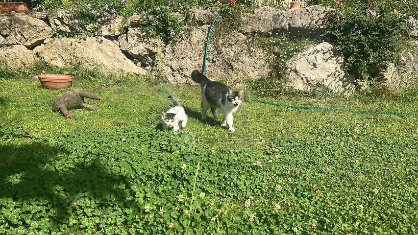 Villa pour 6 personnes, avec jardin ainsi que piscine et vue à Villeneuve-Loubet - 2