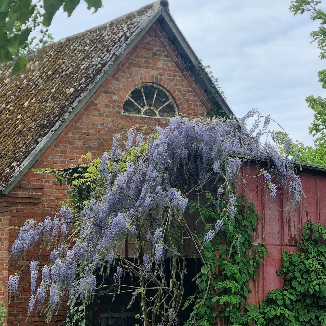 Bel appartement de vacances dans un manoir historique – moments heureux dans la vallée de la Trave in Ahrensbök, Holstein de l'Est