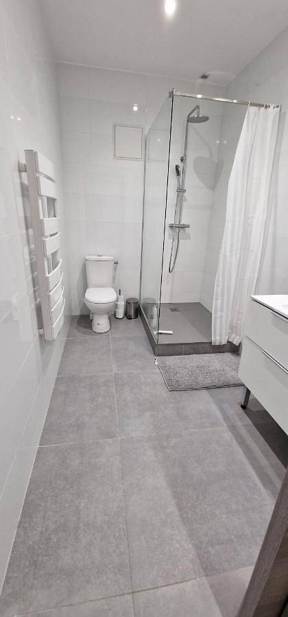 Appartement entier, Beau Appartement T2 in Saint-Georges-d'Espéranche, Région de Vienne