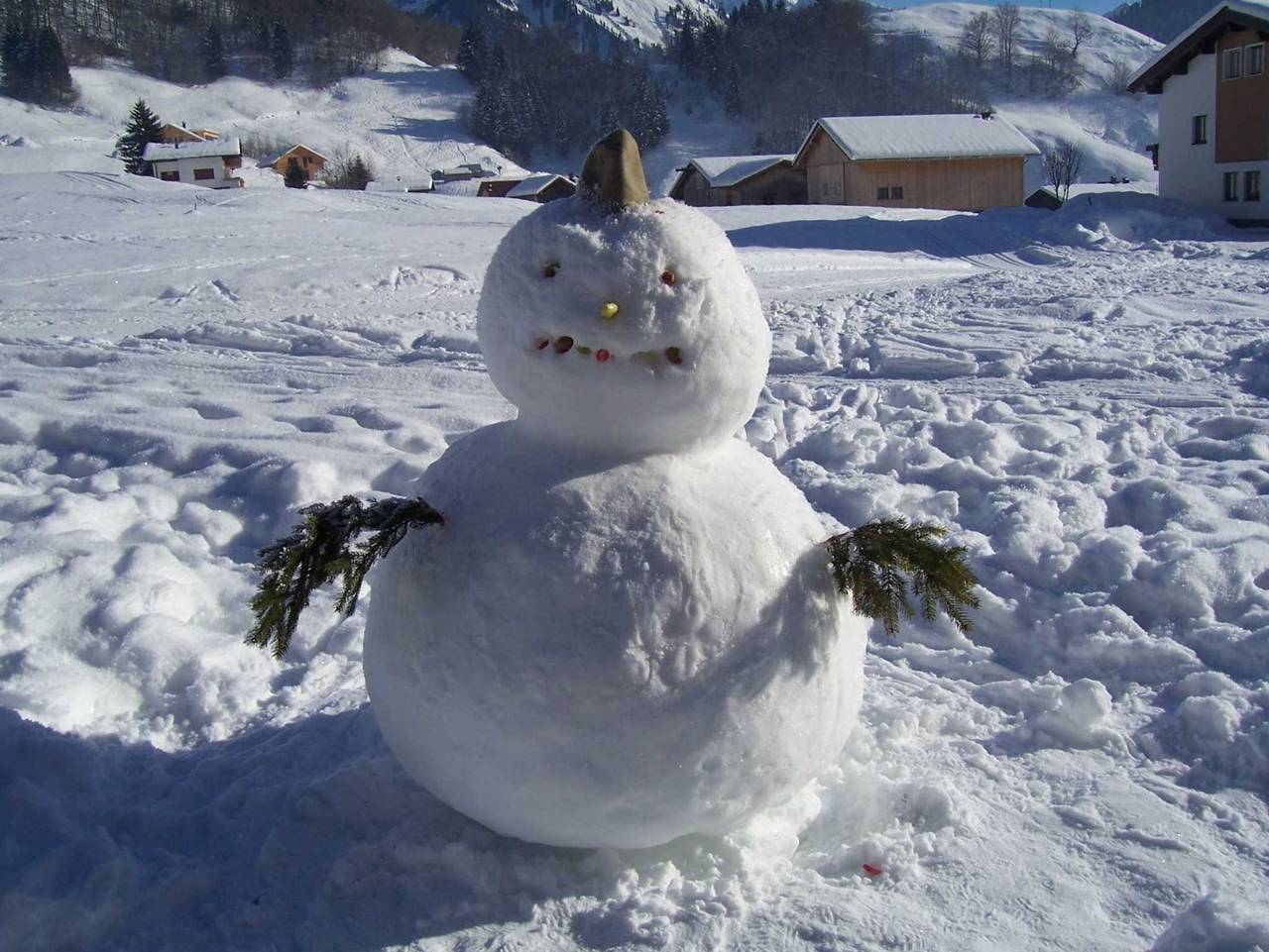 Ganze Ferienwohnung, Bischof Barbara - Ferienwohnung 1 in Au, Bregenzerwald