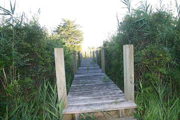 Vacation House for 8 Guests in Rhode Island, USA, Picture 2