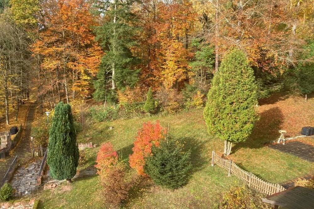 Ganze Wohnung, Immensee Ii mit See- & Burgruinenblick, Gemeinschaftsraum + Kamin in Ronshausen, Hessisches Bergland