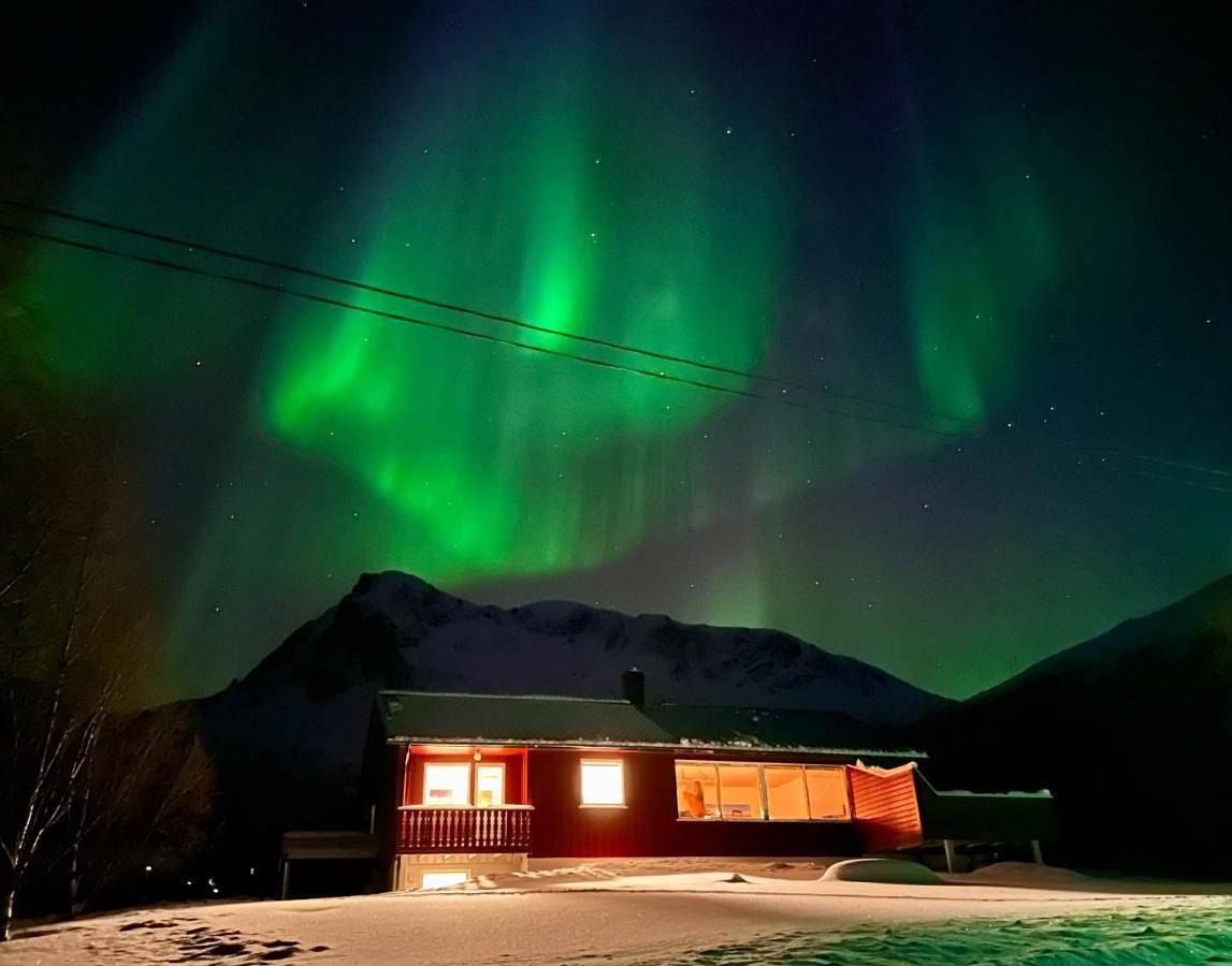 Lofoten Red Villa in Hadsel 