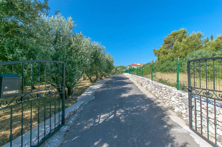 Ganze Wohnung, Apartment Maslina in Brodarica, Šibenik-Knin