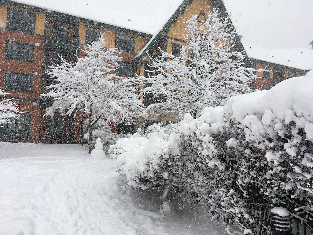 Ganze Wohnung, Comfy Studio at the Appalachian building - Mountain Creek Resort, Vernon, Nj in Mountain Creek