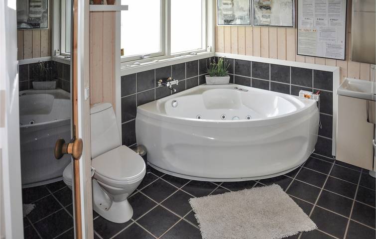 Ferienhaus für 8 Personen, mit Terrasse und Whirlpool sowie Garten und Sauna in Skovmose - 4