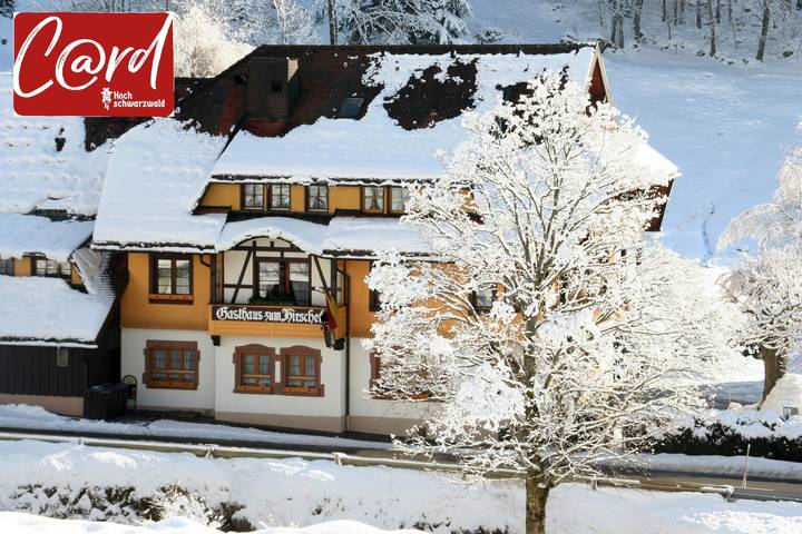 Hotel Gasthaus Hirschen - Einzelzimmer, 14qm, Dusche/Wc, teilweise mit Balkon in Brandenberg (Todtnau), Todtnau