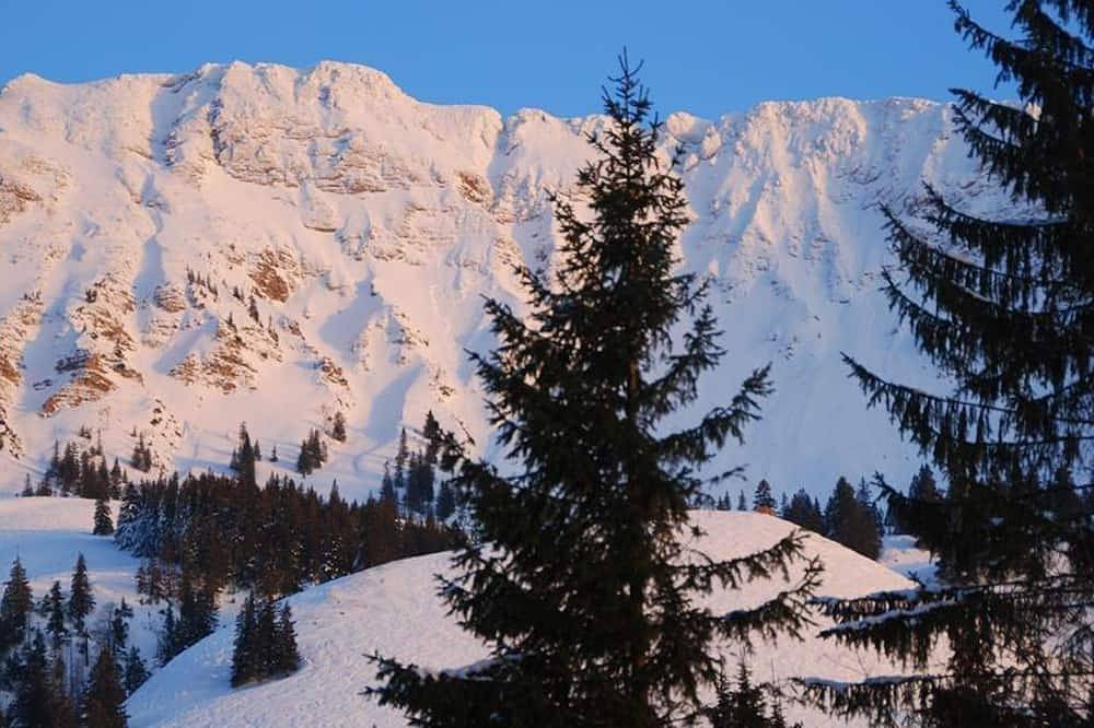 Ganze Wohnung, Fewo Heitmann, Deutschland in Oberjoch, Bad Hindelang