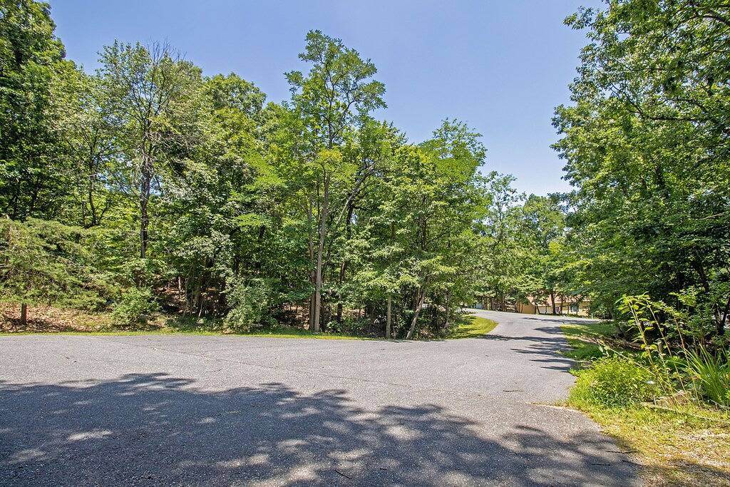 Hike the Snp-Massanutten Resort Free Resort Rec Access & Dog Friendly! in Massanutten, Blue Ridge Mountains