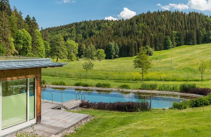 Hôtel pour 2 personnes, avec jardin et piscine ainsi que sauna et balcon, adapté aux familles à Bonndorf im Schwarzwald - 2