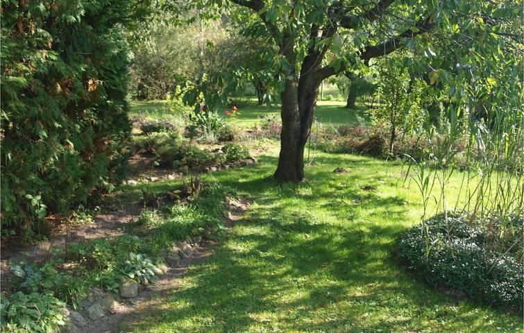 Ferienhaus für 2 Personen, mit Terrasse und Garten in Mecklenburgische Seenplatte - 4