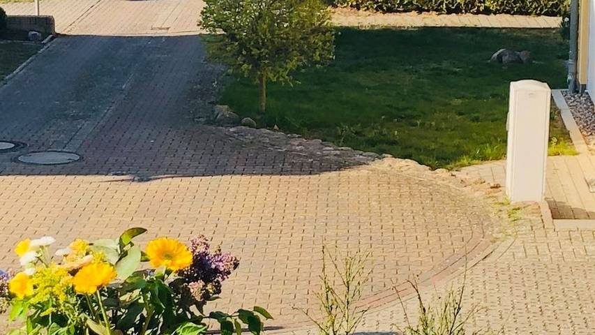 Ferienhaus für 8 Personen, mit Whirlpool und Sauna sowie Garten und Terrasse in Göhren-Lebbin - 4